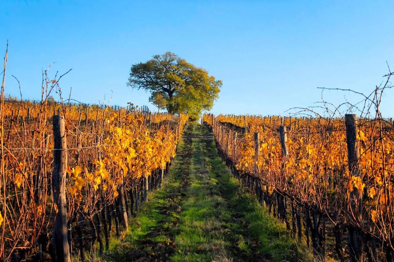 Fattoria Di Cinciano Villa Poggibonsi 0*,